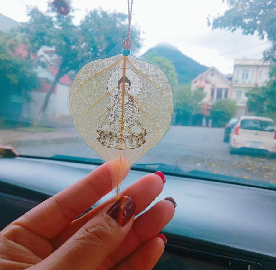 Khám phá vẻ đẹp độc đáo của lá bồ đề.png